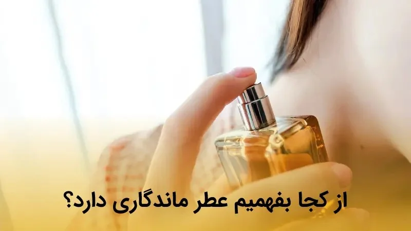 از کجا بفهمیم عطر ماندگاری دارد؟