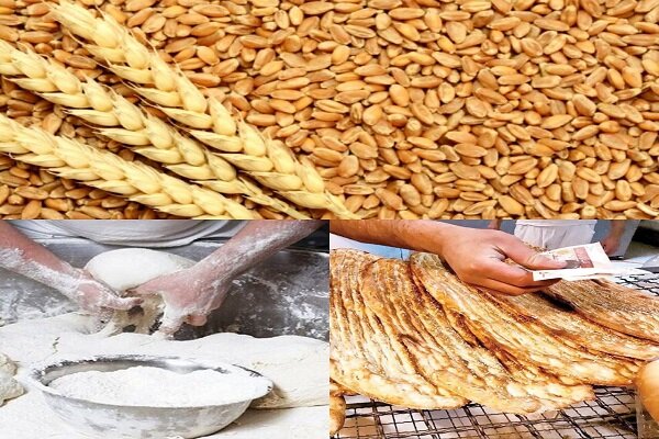 یارانه آرد و نان برای افزایش کارایی و شفافیت بیشتر تفکیک شود - خبرگزاری مهر | اخبار ایران و جهان