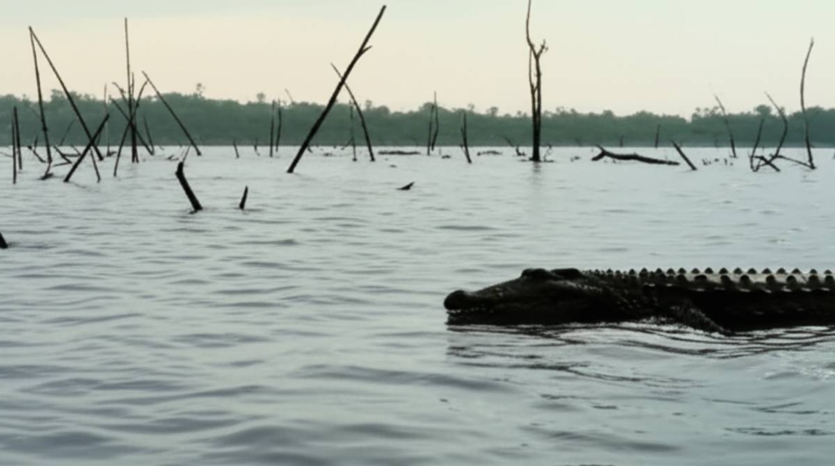 داستان واقعی جزیره رامری - کشتار کروکودیل ها در جنگ جهانی
