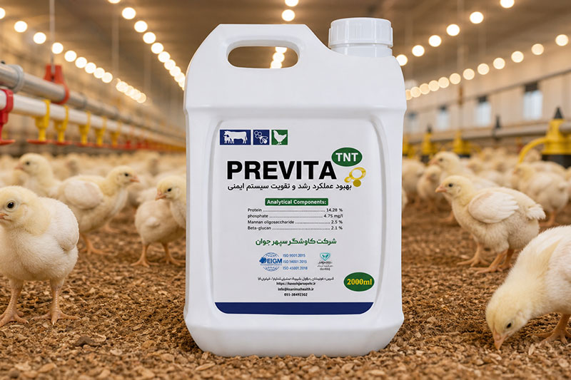 Previta TNT